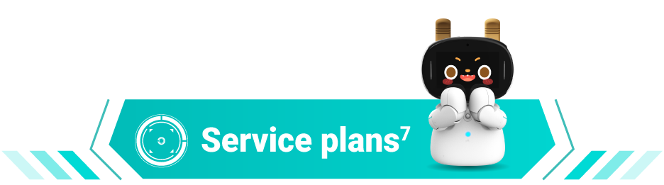 Service plans<sup>6</sup>
